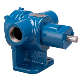 Motivo internal gear pump