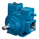 Blackmer-TXD2-5-Sliding-Vane-Pump_01