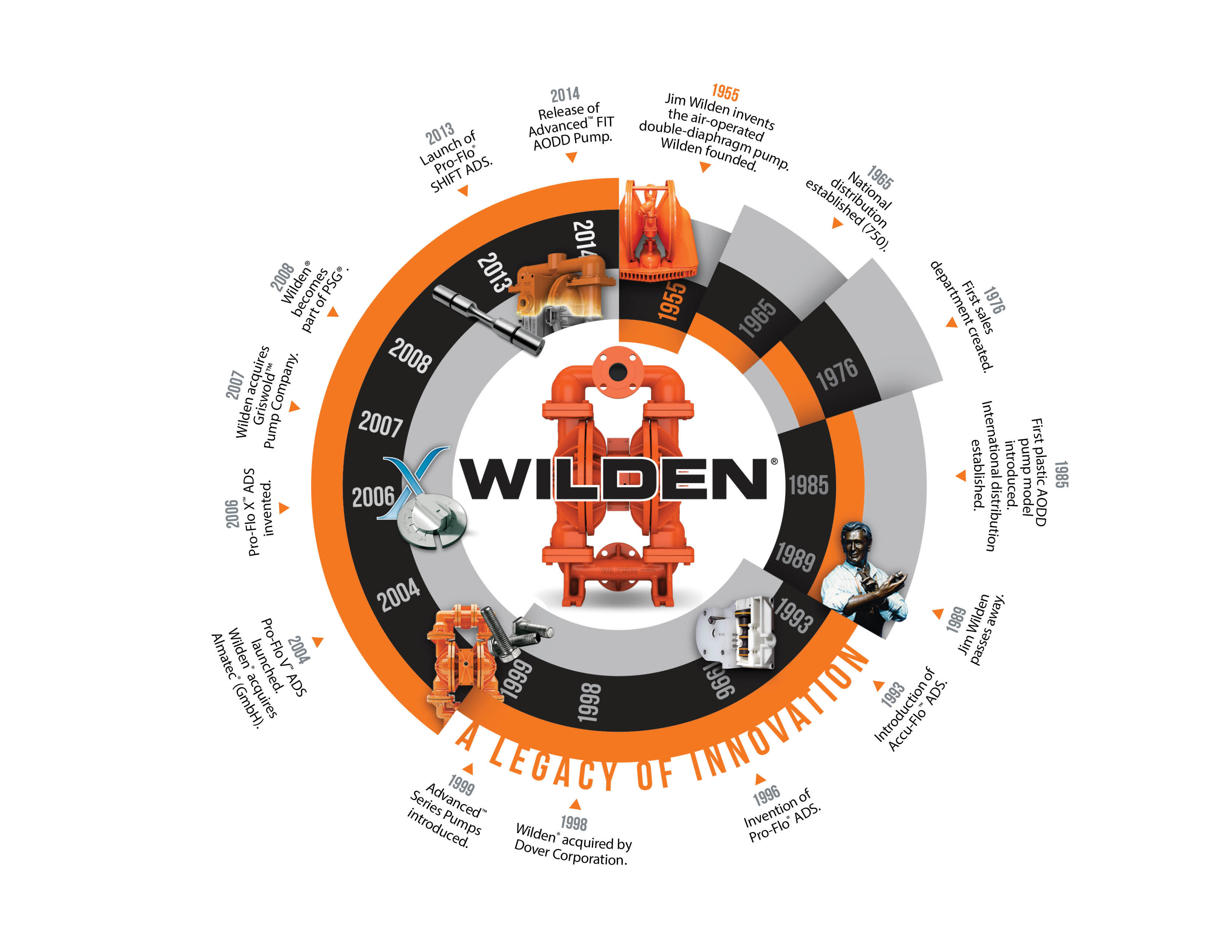 wilden-timeline